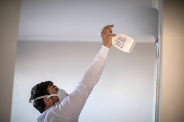 Best Mold Cleaning Services  in Alexander, AR