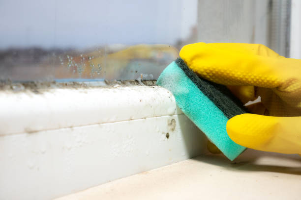 Best Crawl Space Mold Removal  in Alexander, AR